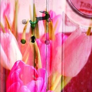 Tulip Door “Tulipani” Photo digital image on archival photographic paper.